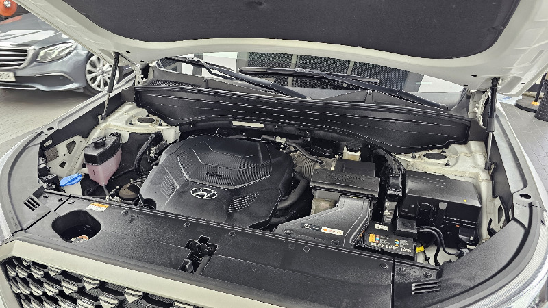car Hyundai Palisade id367973 photo #6