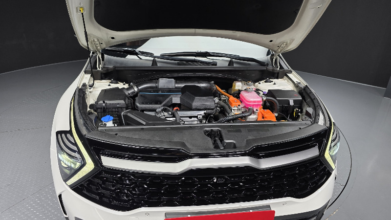 car KIA Sportage id368818 photo #6