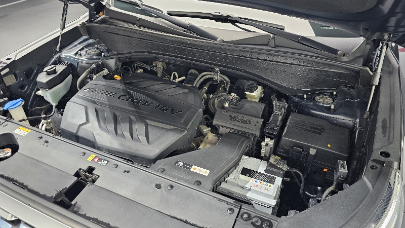 car Hyundai Palisade id23362 photo #6