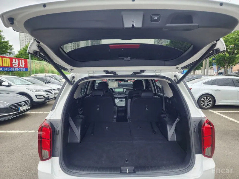 car Hyundai Palisade id24294 photo #14