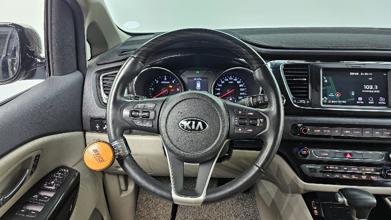 car KIA Carnival id24839 photo #13