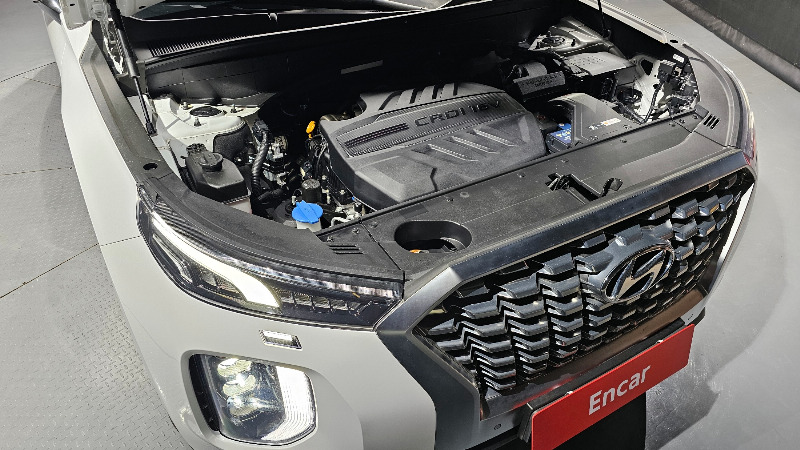 car Hyundai Palisade id24907 photo #6