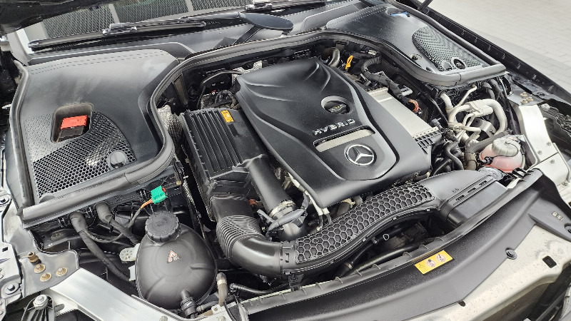 car Mercedes Benz E Class id25873 photo #6
