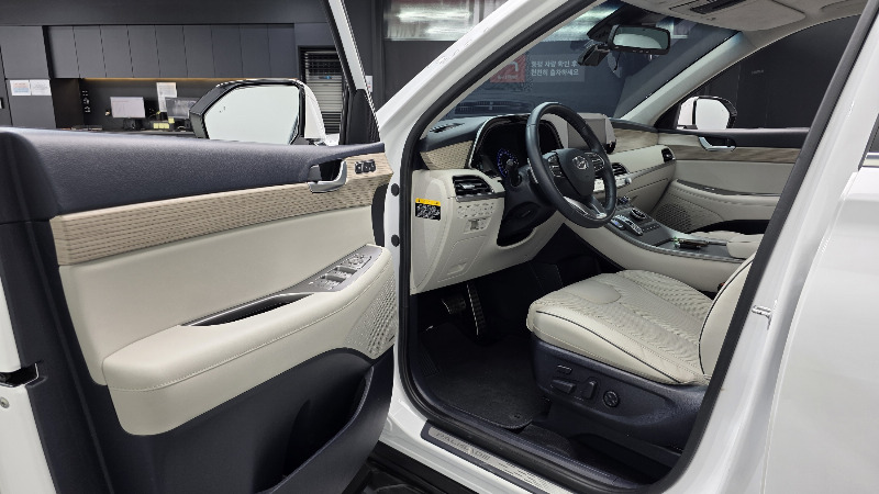 car Hyundai Palisade id28048 photo #10