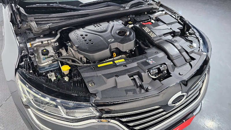 car Renault Samsung SM6 id29689 photo #6