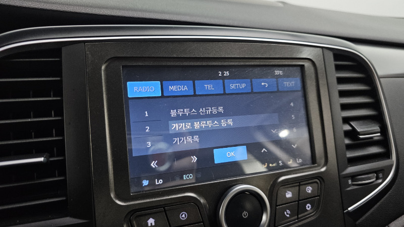 car Renault Samsung SM6 id29812 photo #16