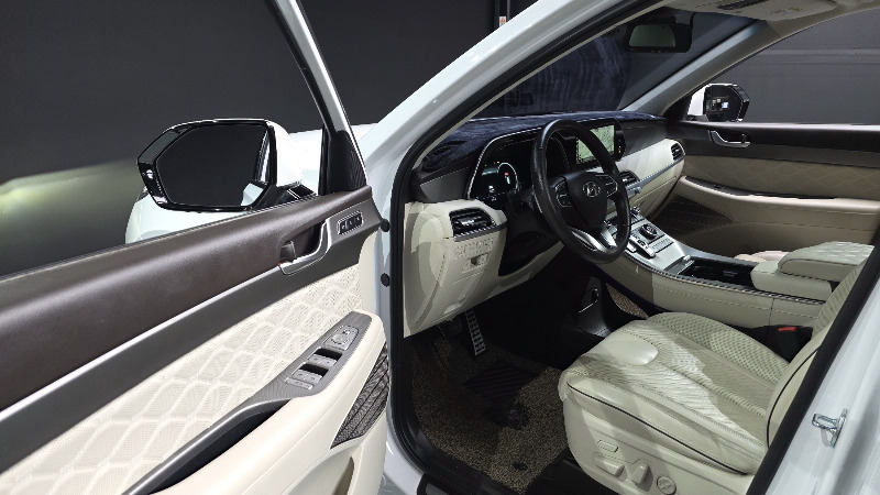 car Hyundai Palisade id30895 photo #11