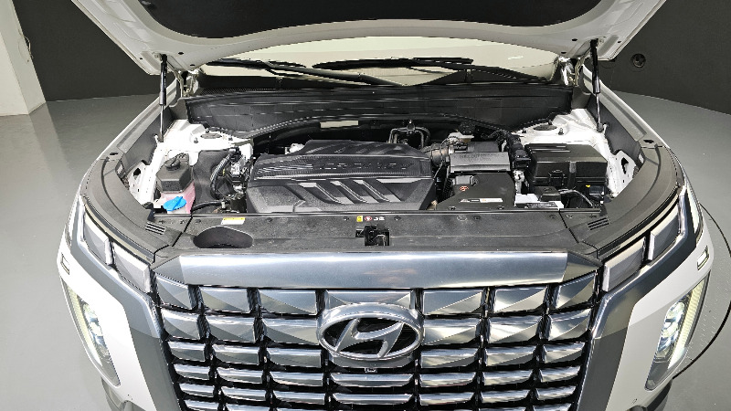 car Hyundai Palisade id30909 photo #6