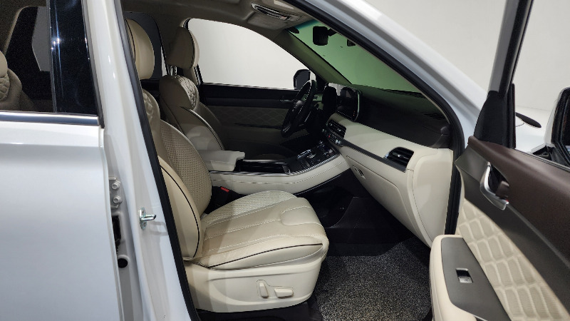 car Hyundai Palisade id30926 photo #11