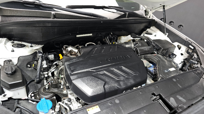 car Hyundai Palisade id30959 photo #6