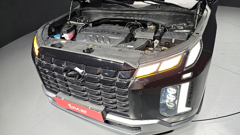 car Hyundai Palisade id30982 photo #6