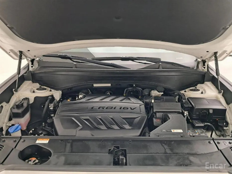 car Hyundai Palisade id30998 photo #19