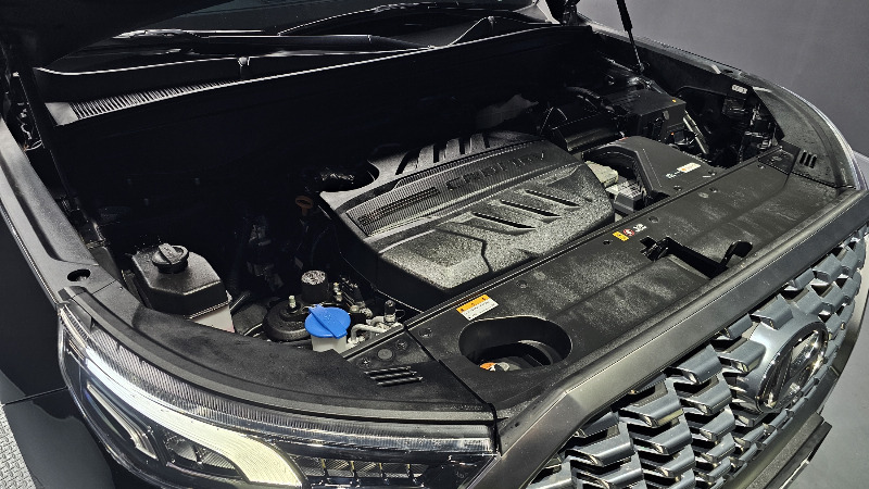 car Hyundai Palisade id31221 photo #6