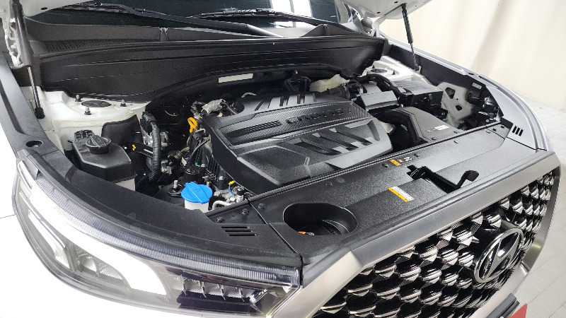 car Hyundai Palisade id31238 photo #6