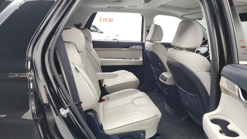 car Hyundai Palisade id31407 photo #12