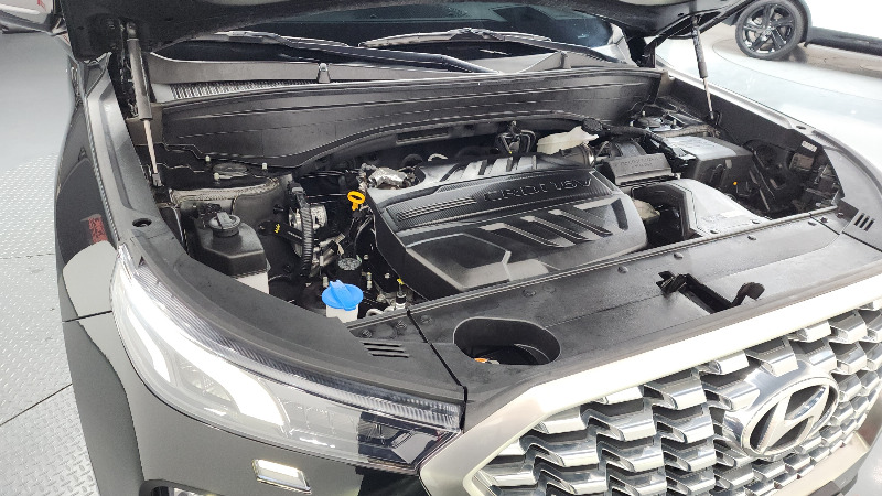 car Hyundai Palisade id31407 photo #6