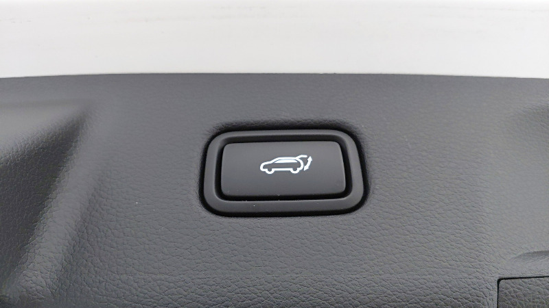 car Hyundai Palisade id31445 photo #16