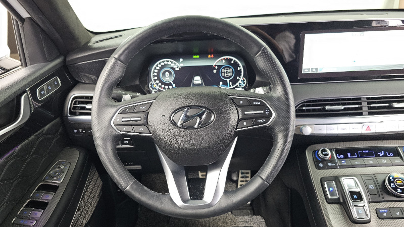 car Hyundai Palisade id31477 photo #13