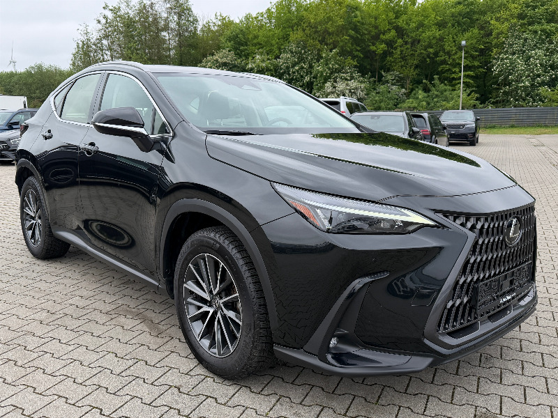 car Lexus NX id33171 photo #2