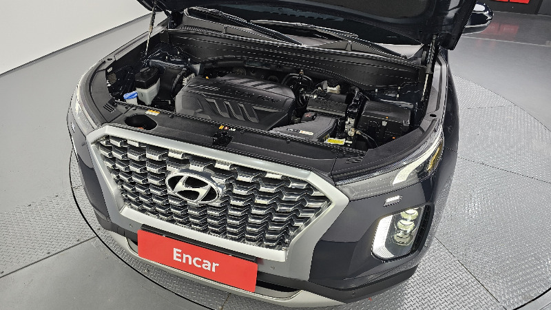 car Hyundai Palisade id33238 photo #6