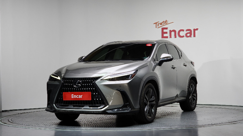 car Lexus NX id33463 main photo