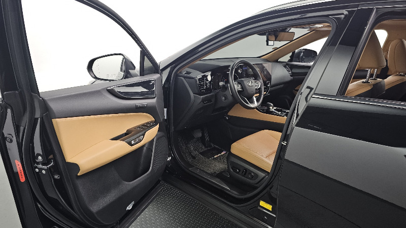 car Lexus NX id33468 photo #10