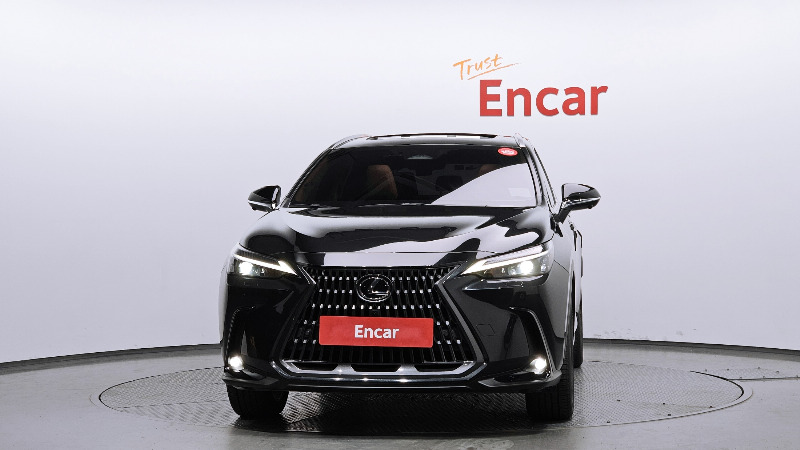 car Lexus NX id33468 photo #3