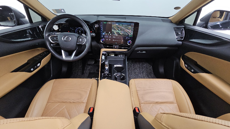 car Lexus NX id33468 photo #7