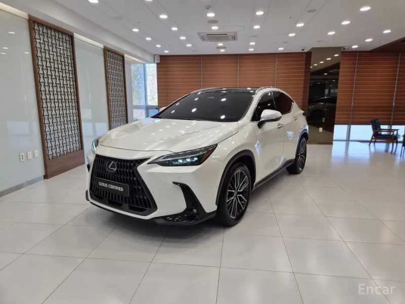 car Lexus NX id33472 main photo
