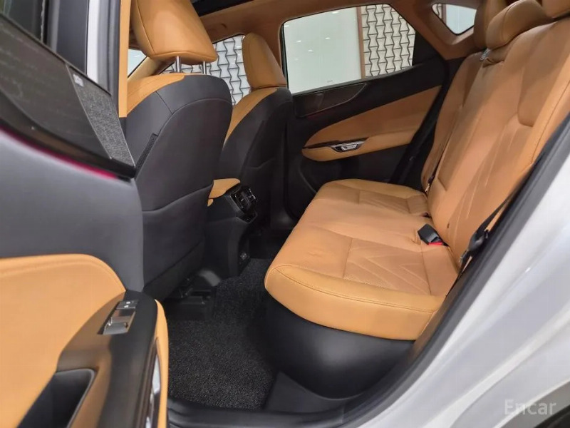 car Lexus NX id33472 photo #14