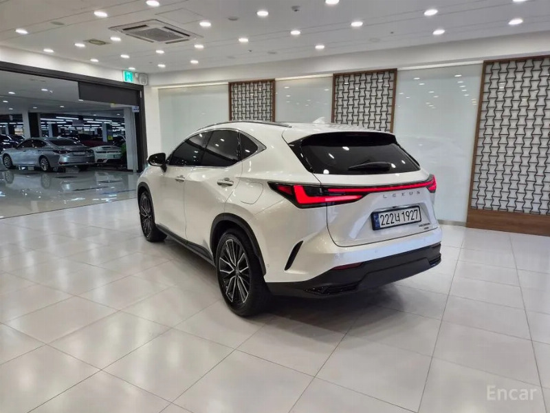 car Lexus NX id33472 photo #2