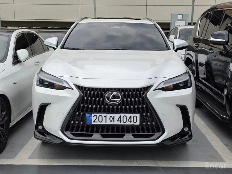 car Lexus NX id34236 main photo