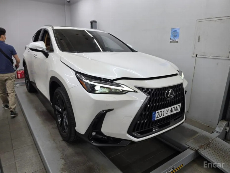 car Lexus NX id34236 photo #10