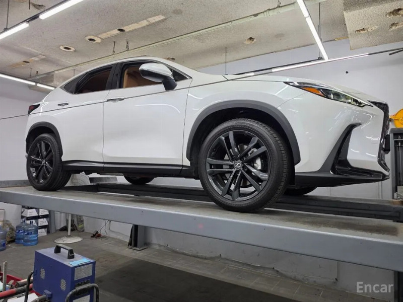 car Lexus NX id34236 photo #15