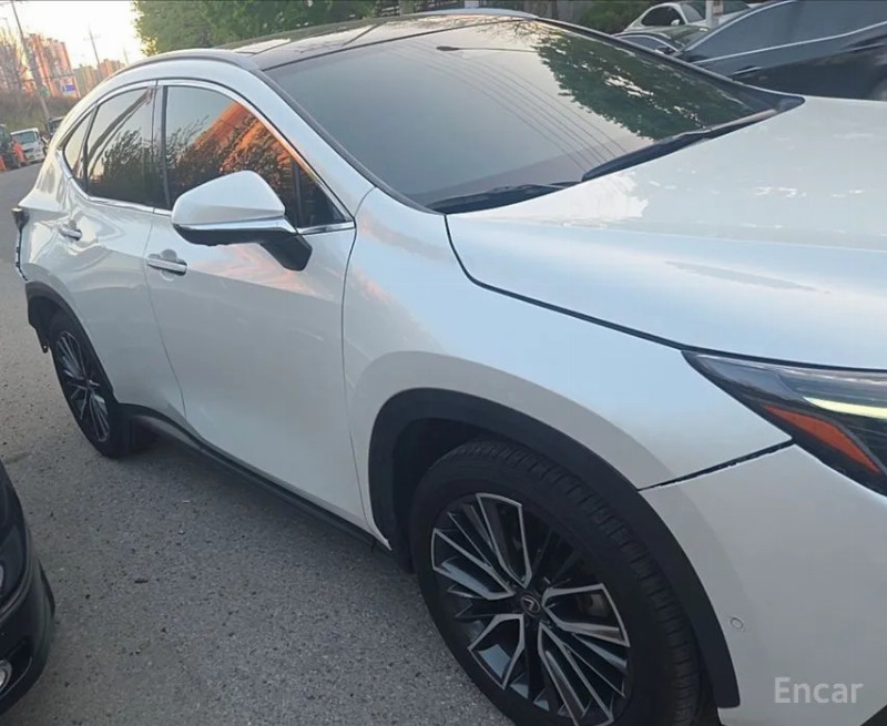 car Lexus NX id34249 photo #2