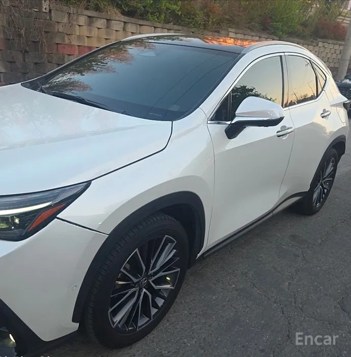 car Lexus NX id34249 photo #3