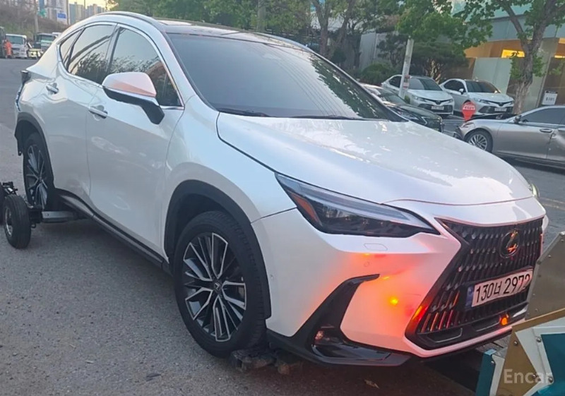 car Lexus NX id34249 photo #4