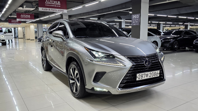 car Lexus NX id34256 photo #3