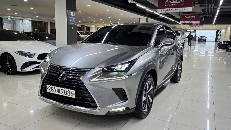 car Lexus NX id34256 photo #4