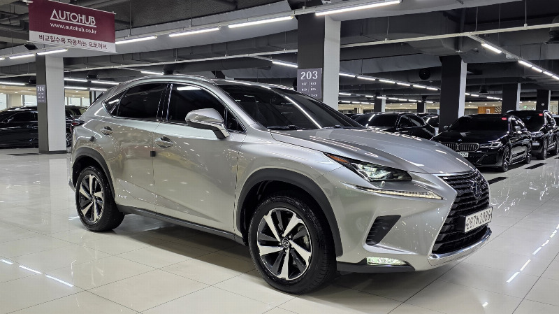 car Lexus NX id34256 photo #5