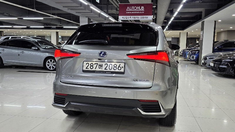 car Lexus NX id34256 photo #7