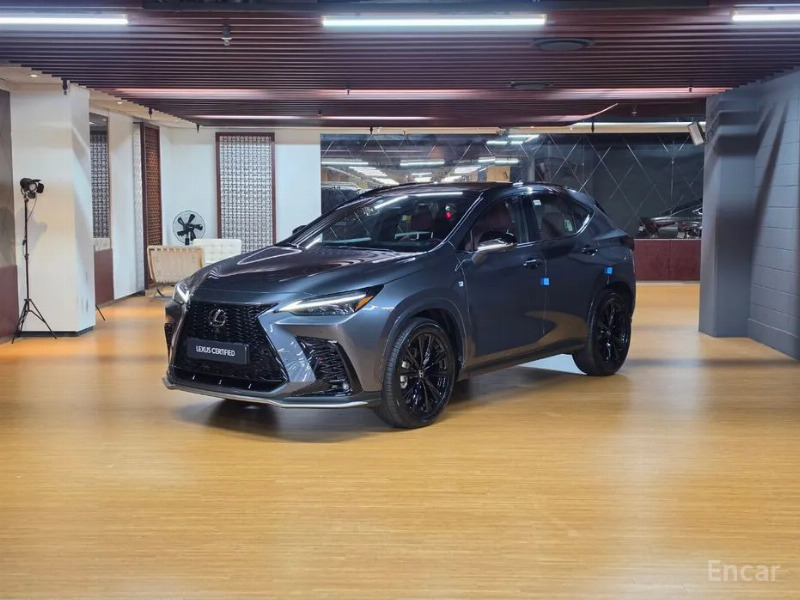 car Lexus NX id34268 main photo