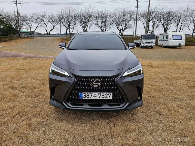 car Lexus NX id34272 photo #2