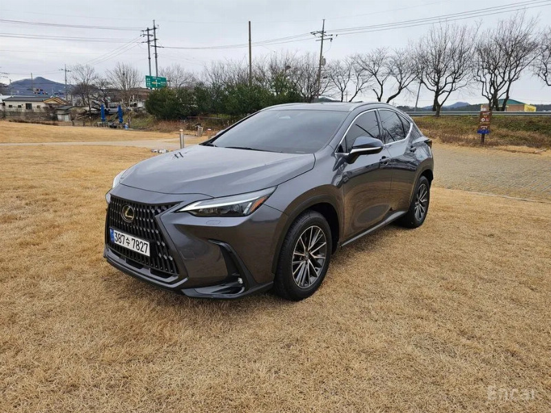 car Lexus NX id34272 photo #3