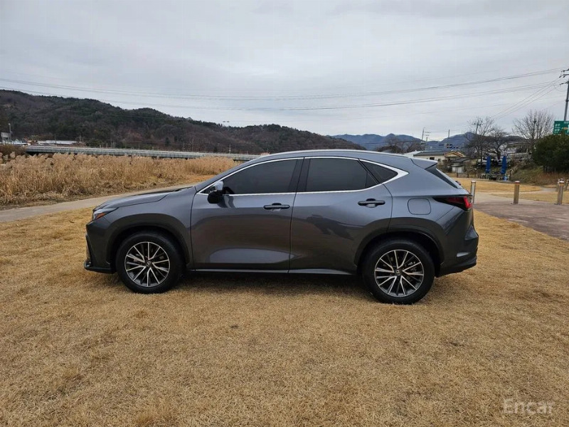 car Lexus NX id34272 photo #4