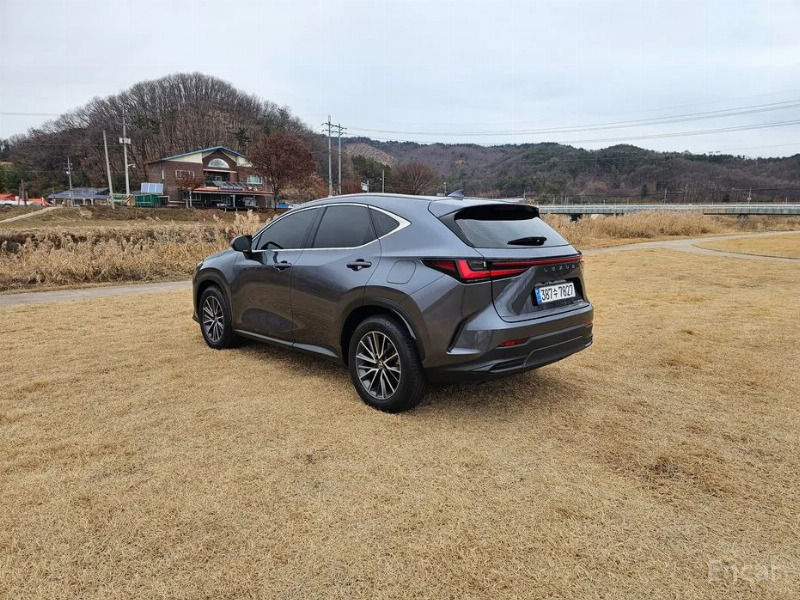 car Lexus NX id34272 photo #5