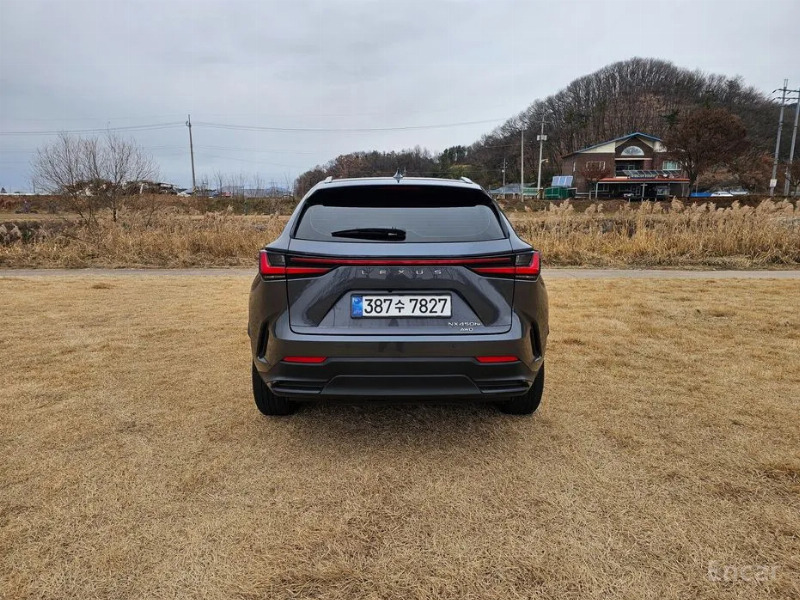 car Lexus NX id34272 photo #6