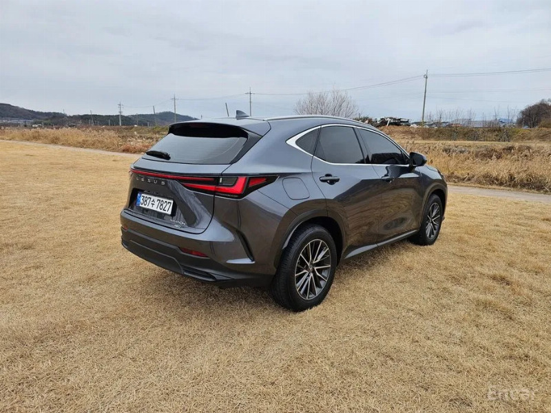 car Lexus NX id34272 photo #7