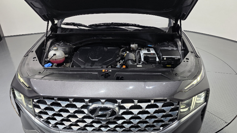 car Hyundai Santa FE id35305 photo #6