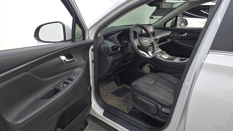 car Hyundai Santa FE id35337 photo #10